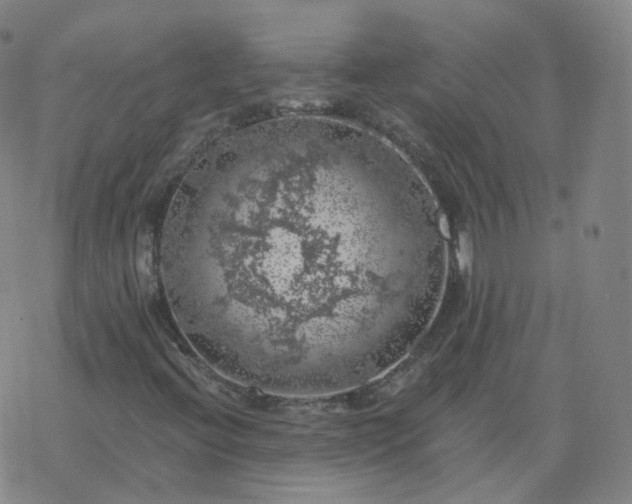 X0000068891396200605122022