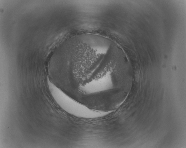 X0000068891397200605122022