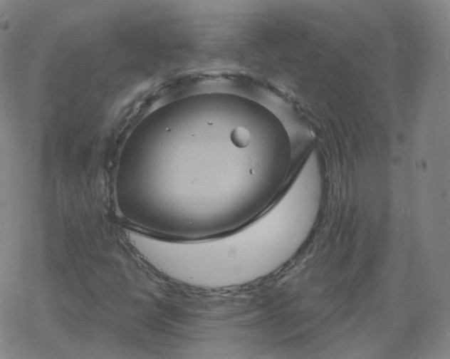 X0000068891398200605122022