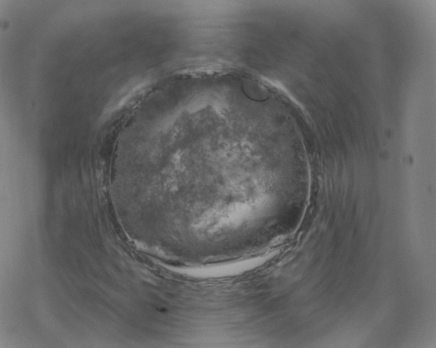 X0000068891399200605122022