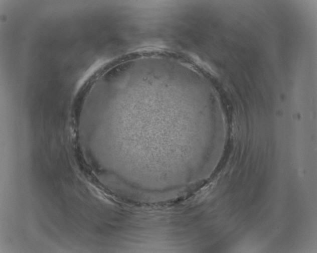 X0000068891400200605122022