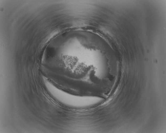 X0000068891401200605122022