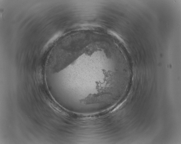 X0000068891403200605122022