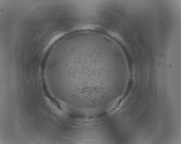 X0000068891404200605122022