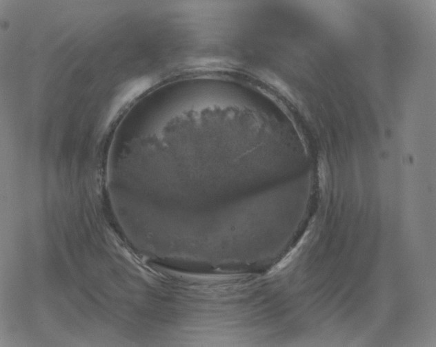 X0000068891405200605122022