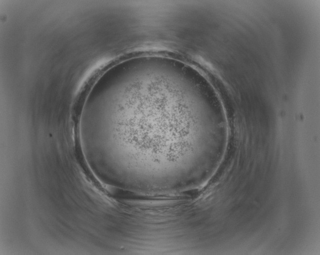 X0000068891408200605122022