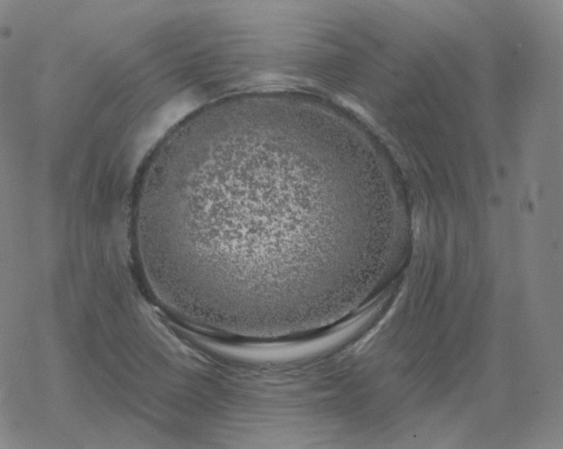 X0000068891410200605122022