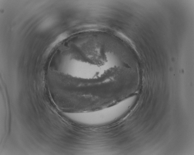 X0000068891411200605122022