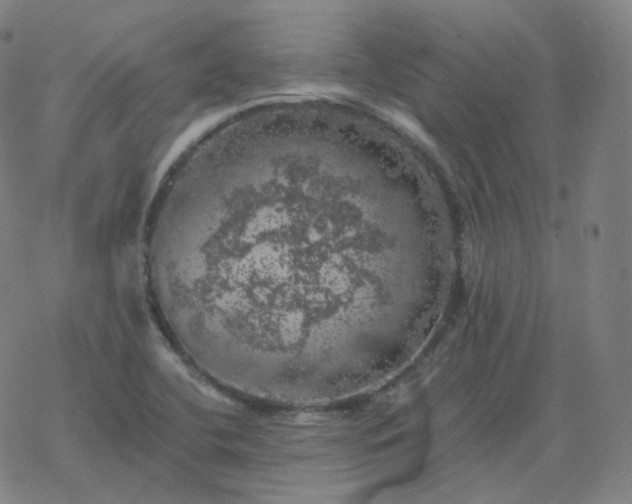 X0000068891412200605122022