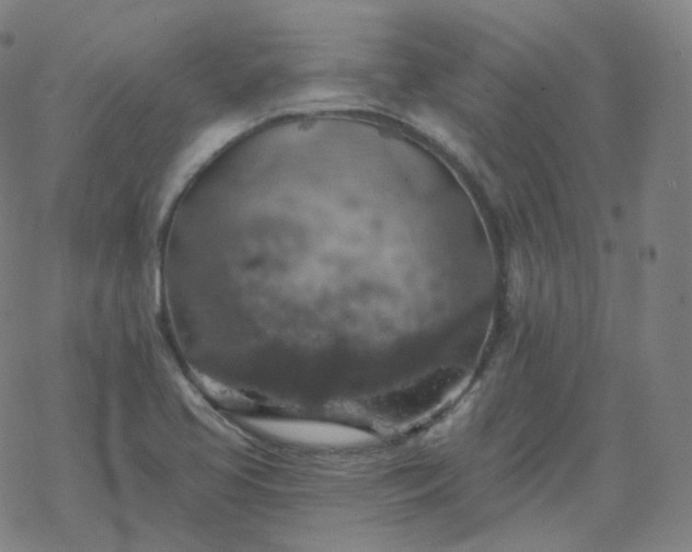 X0000068891413200605122022