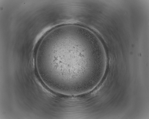 X0000068891414200605122022