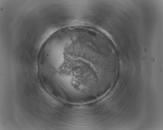 X0000068891415200605122022