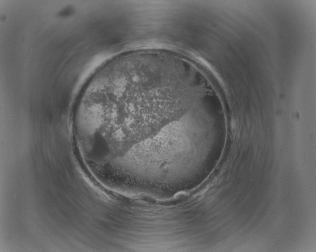 X0000068891416200605122022