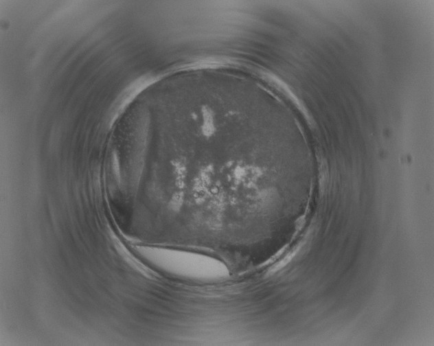 X0000068891417200605122022