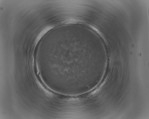 X0000068891418200605122022