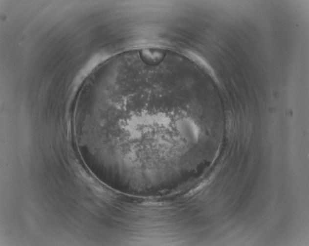 X0000068891419200605122022