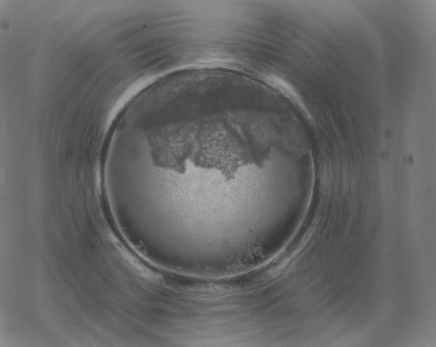 X0000068891420200605122022