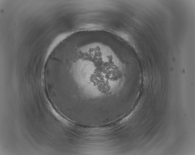 X0000068891421200605122022