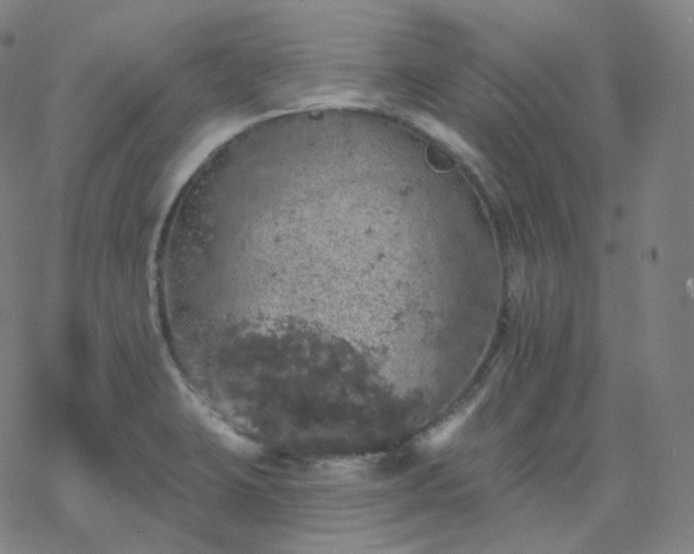 X0000068891423200605122022