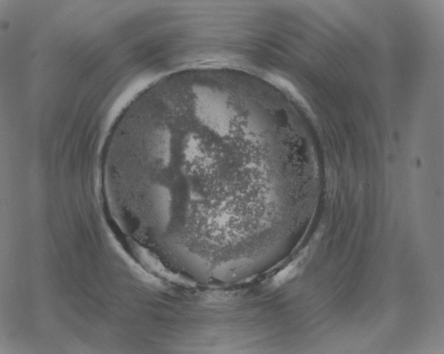 X0000068891424200605122022