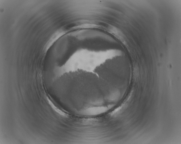 X0000068891425200605122022