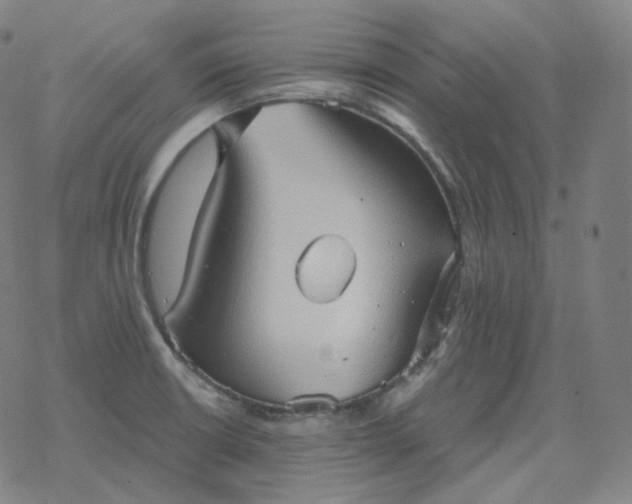 X0000068891426200605122022