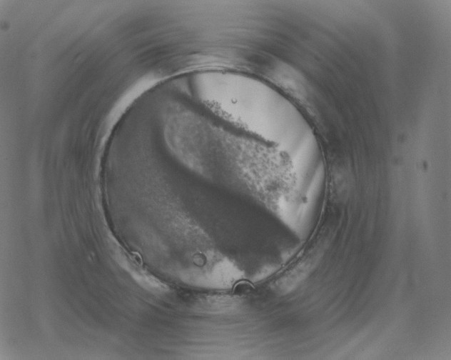 X0000068891427200605122022