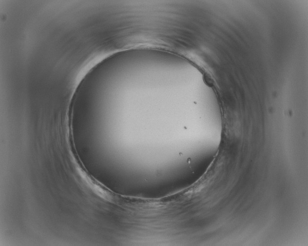 X0000068891431200605122022