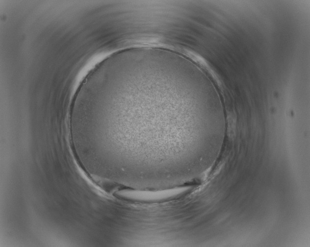 X0000068891432200605122022