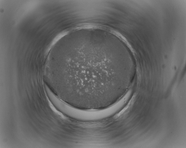 X0000068891433200605122022