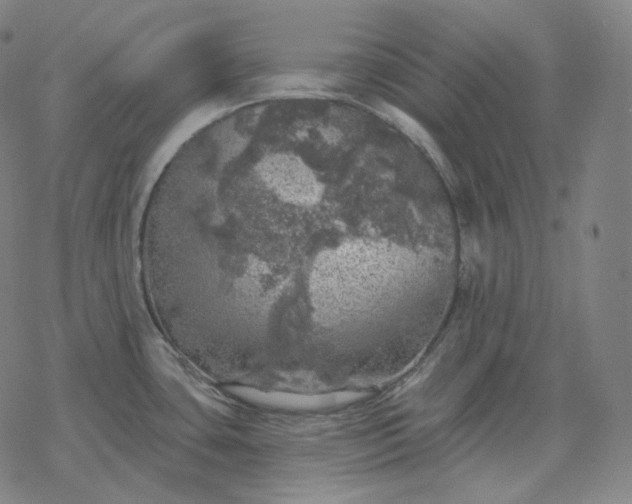 X0000068891435200605122022