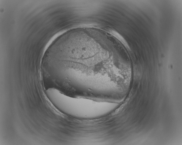 X0000068891436200605122022