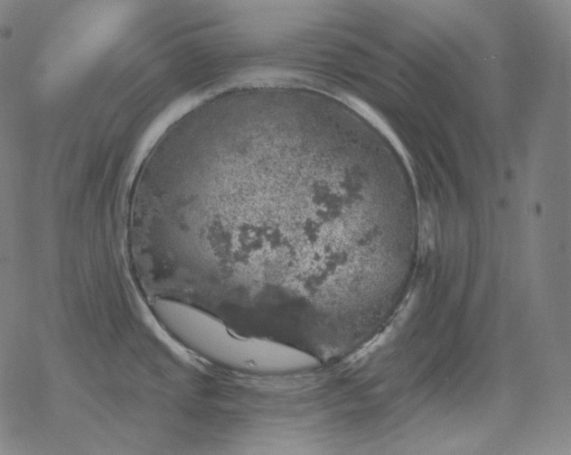 X0000068891437200605122022