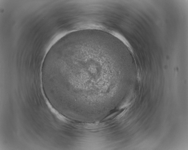 X0000068891439200605122022