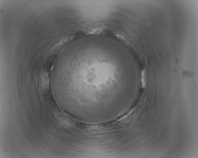 X0000068891443200605122022