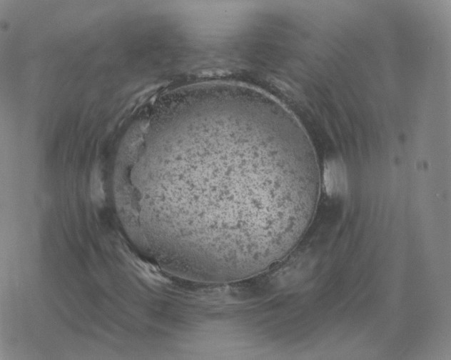 X0000068891444200605122022