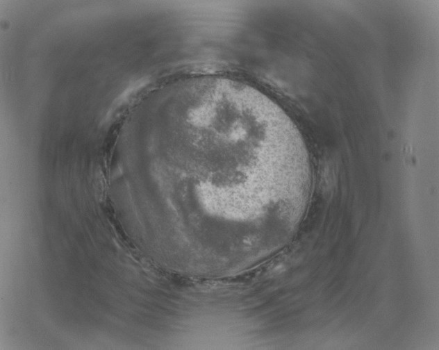 X0000068891446200605122022