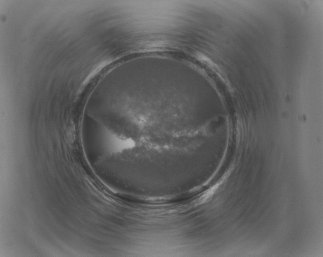 X0000068891449200605122021