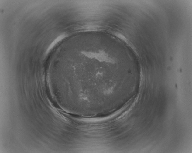 X0000068891450200605122021