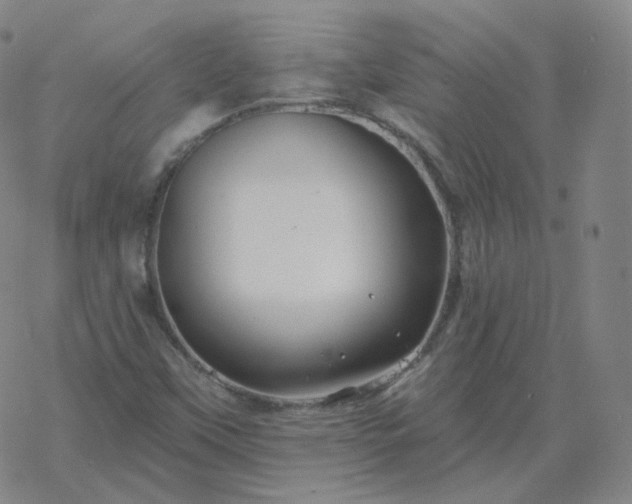 X0000068891451200605122021