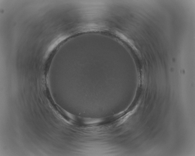 X0000068891453200605122021