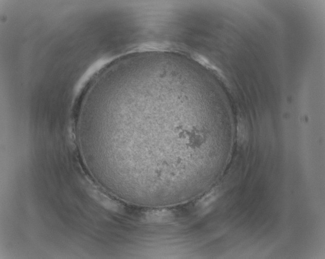 X0000068891454200605122021