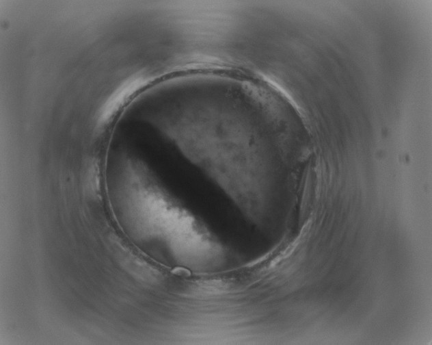 X0000068891455200605122021