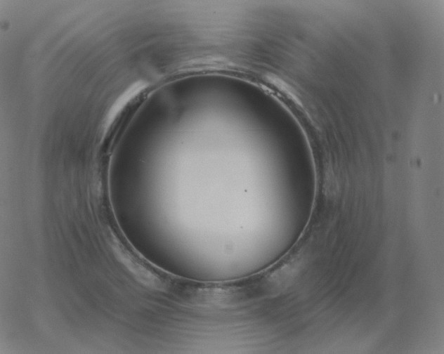 X0000068891458200605122021