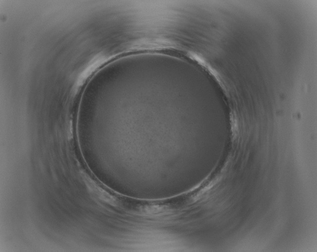 X0000068891459200605122021