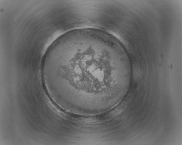 X0000068891460200605122021