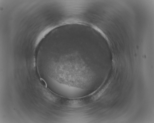 X0000068891461200605122021