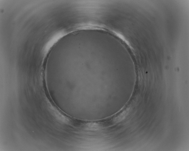 X0000068891463200605122021