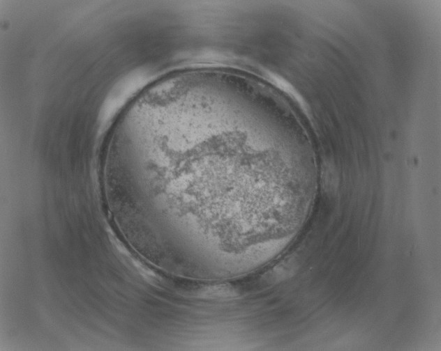 X0000068891464200605122021