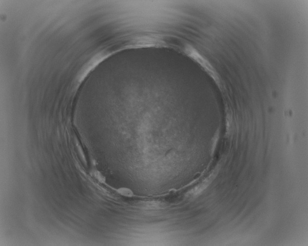 X0000068891465200605122021